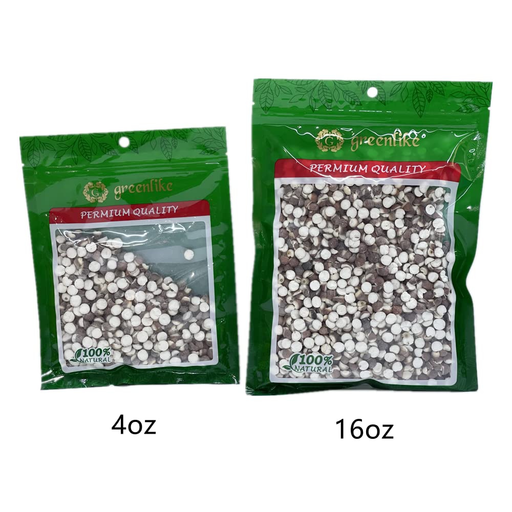 Greenlike Qian Shi Euryale Ferox Salisb Dried Fox Nuts - 4 oz - image 2