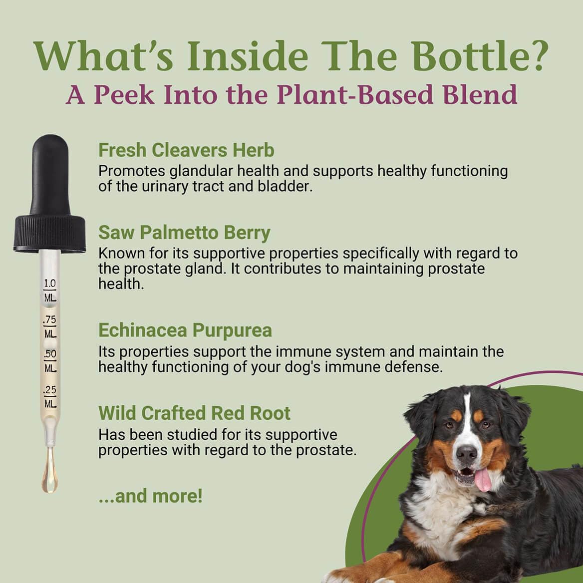 PetAlive ProsPet Drops for Dog Prostate & Bladder Health - 2 Fl Oz - image 4