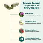 EdenBoost AlphaCleanse Liver Cleanse Detox & Repair - Milk Thistle - image 4