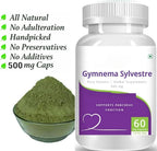 Generic Gudmar Gymnema Sylvestre 500 mg - 60 Vegetarian Capsules - image 4