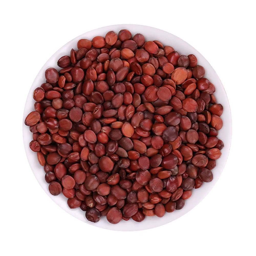 CHEWYZ Zizyphus Jujuba Spine Date Seed - 500 g