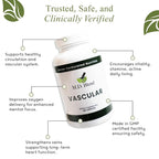 M.D. Blend Vascular
