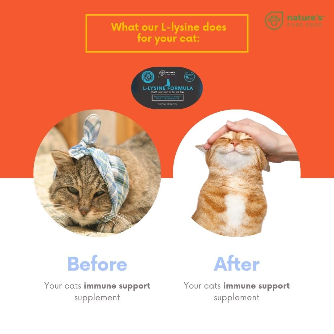 Nature's Pure Edge L-Lysine Powder for Cats - 125 Grams - image 5