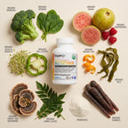 Organixx Clean Sourced Multivitamin with Probiotics - 90 Capsules - image 3