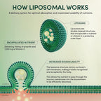 Beekeeper's Naturals Propolis Stress Support Liposomal