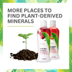 Youngevity Plant Derived Liquid Minerals 600 mg - 64 fl oz - image 4