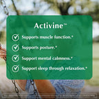 PROVITA Activine Muscle Support & Protein Synthesis - 60 Vegetarian Capsules - image 3