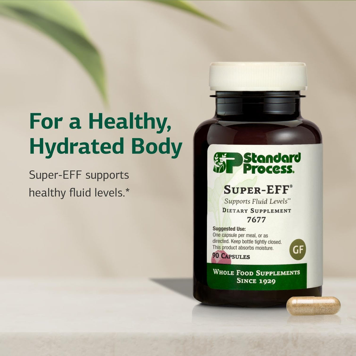 Standard Process Super-EFF Fluid & Energy Support - 90 Capsules - image 3