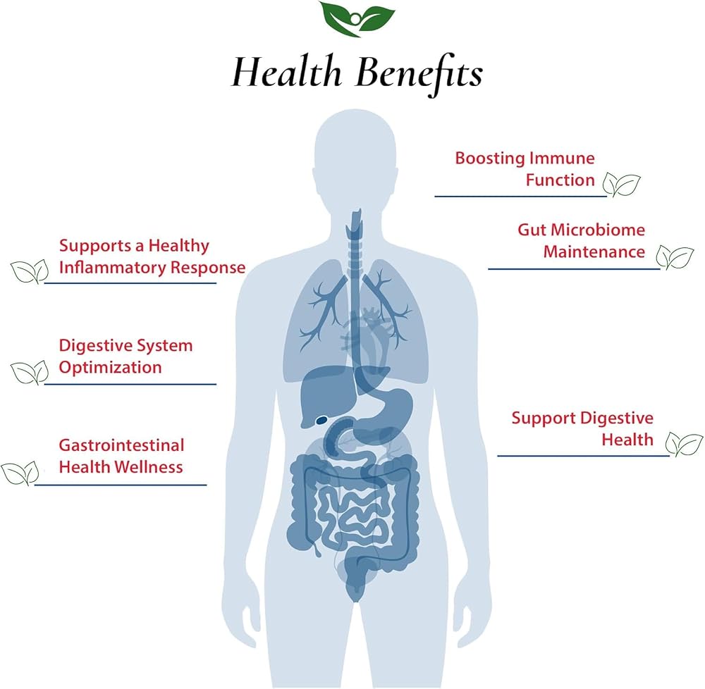 Foods For Gut Bifidobacterium Longum Probiotic Powder 100 Billion