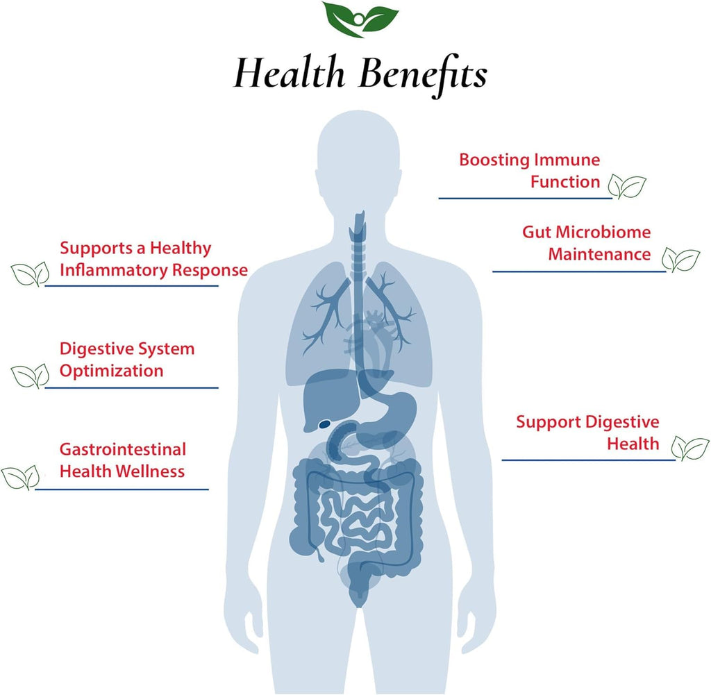 Foods For Gut Bifidobacterium Longum Probiotic Powder - 30g - image 4
