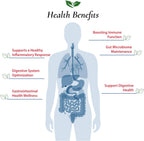 Foods For Gut Bifidobacterium Longum Probiotic Powder - 30g - image 4