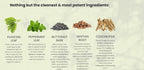 All In Nutritionals Agapé Herbals Gut Love - 100 Capsules - image 5