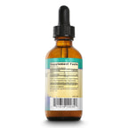 Herbs For Kids Echinacea and Astragalus - Organic Echinacea Purpurea