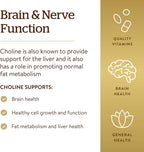 Solgar Choline 350 mg for Brain Support - 100 Vegetable Capsules - image 4
