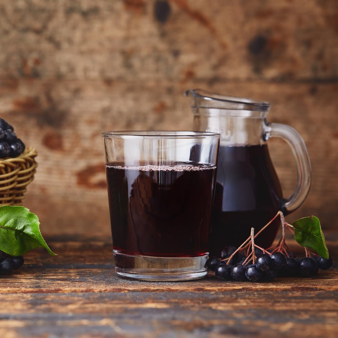 Pure Original Ingredients Aronia Berry Powder Fruit Supplement Extract