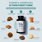 HAPPY FOX Irish Sea Moss & Mushroom Complex - 90 Vegan Capsules - image 2