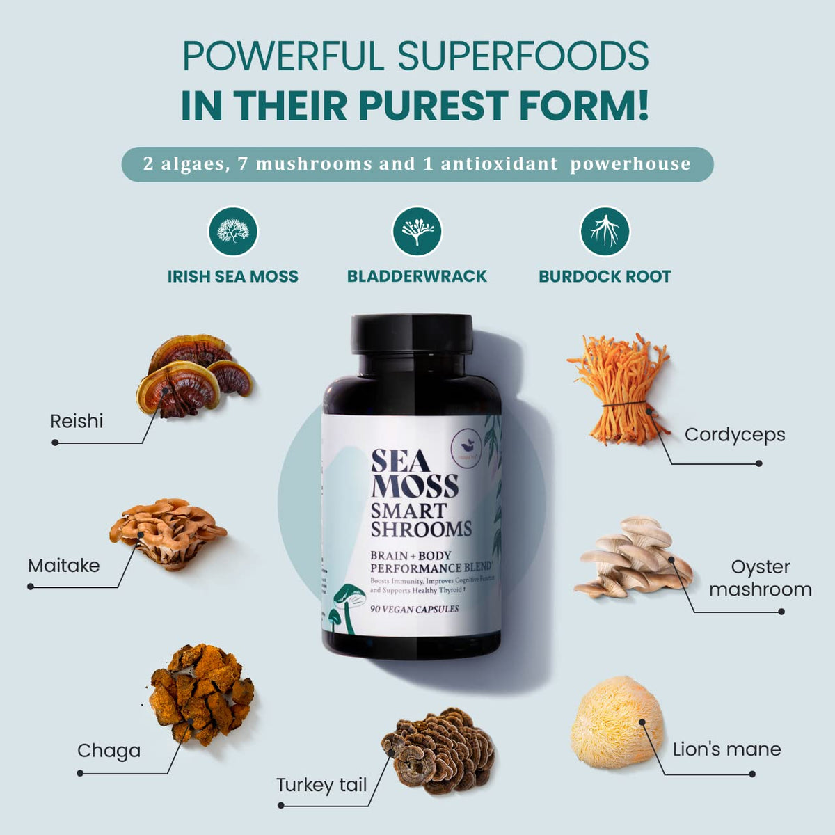 HAPPY FOX Irish Sea Moss & Mushroom Complex - 90 Vegan Capsules - image 2