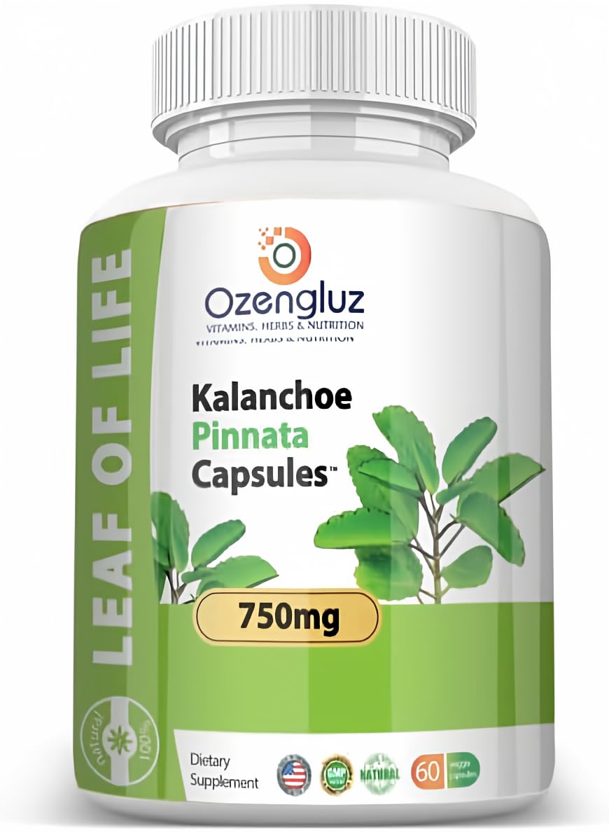 Ozengluz Kalanchoe Pinnata Leaf of Life Capsules - 60 Count