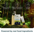 Ancient Nutrition Rapid Hydration Powder