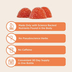 Brainiac Kids Daily BrainPack Gummies Brain Health - 90 Gummies - image 3