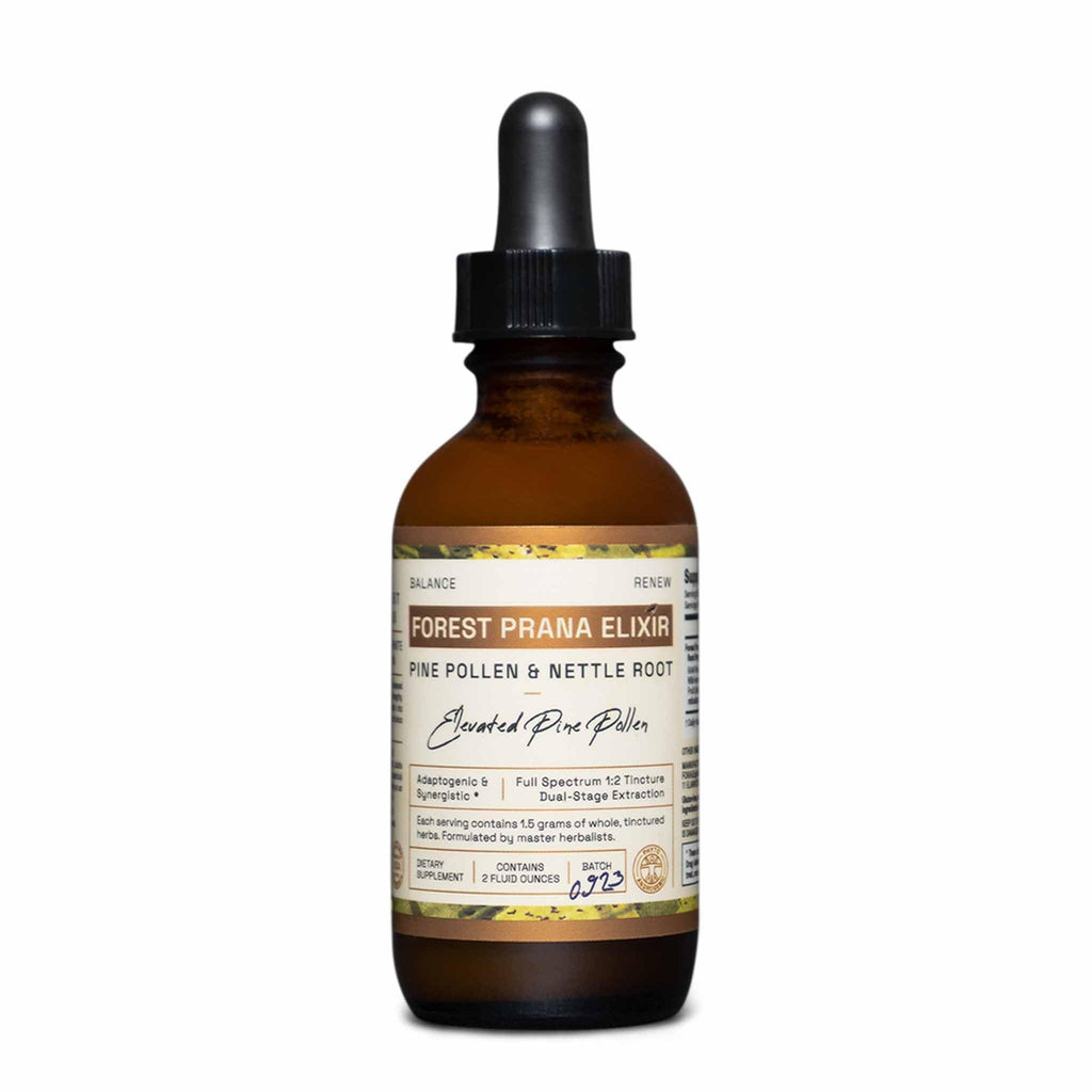 RAW Forest Foods Forest Prana Elixir Pine Pollen and Nettle Root