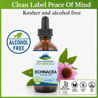 Pure Mountain Botanicals Echinacea Drops Immune Support - 1 oz - image 5
