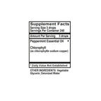 Holly Hill Health Foods Peppermint Spirits with Chlorophyll - 1 Fl Oz - image 4