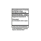 Holly Hill Health Foods Peppermint Spirits with Chlorophyll - 1 Fl Oz - image 4