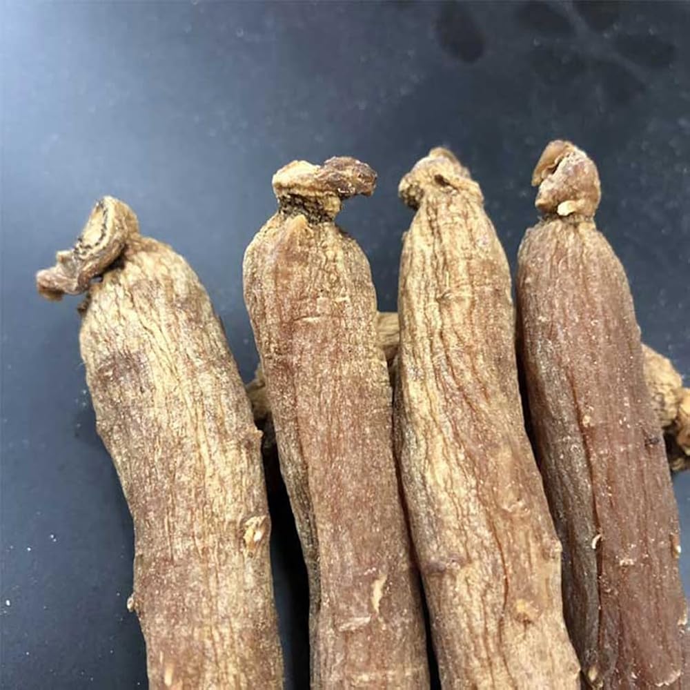 CHLYAET Red Korean Ginseng Roots Red Ginseng Hongshen