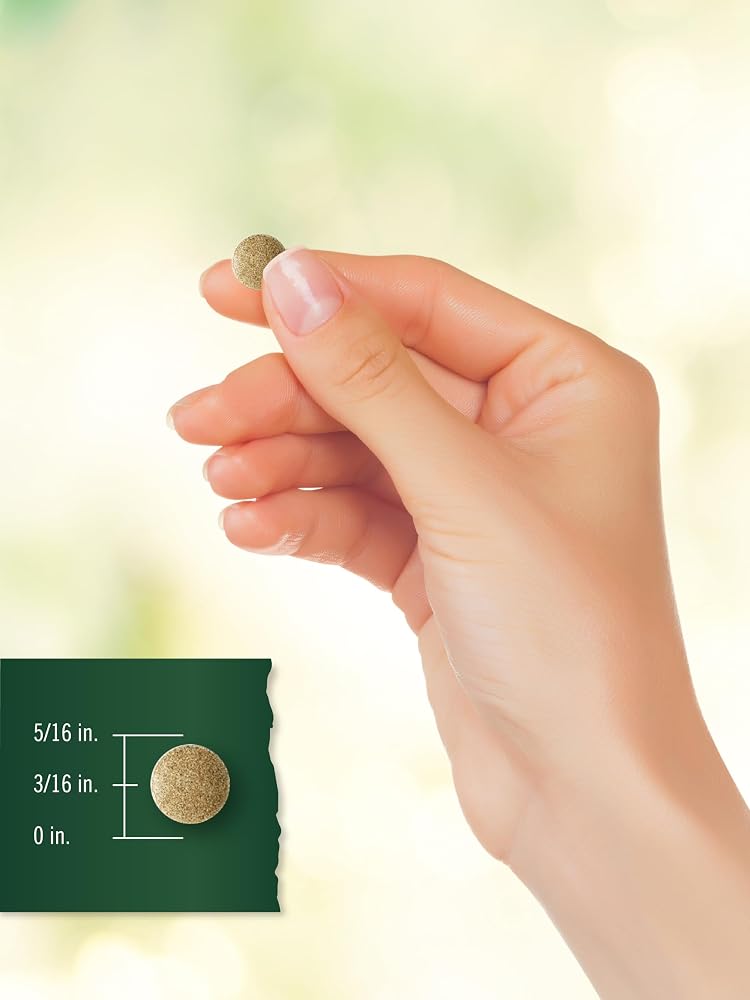 Carlyle Ginkgo Biloba Extra Strength - 200 Vegetarian Tablets - image 8