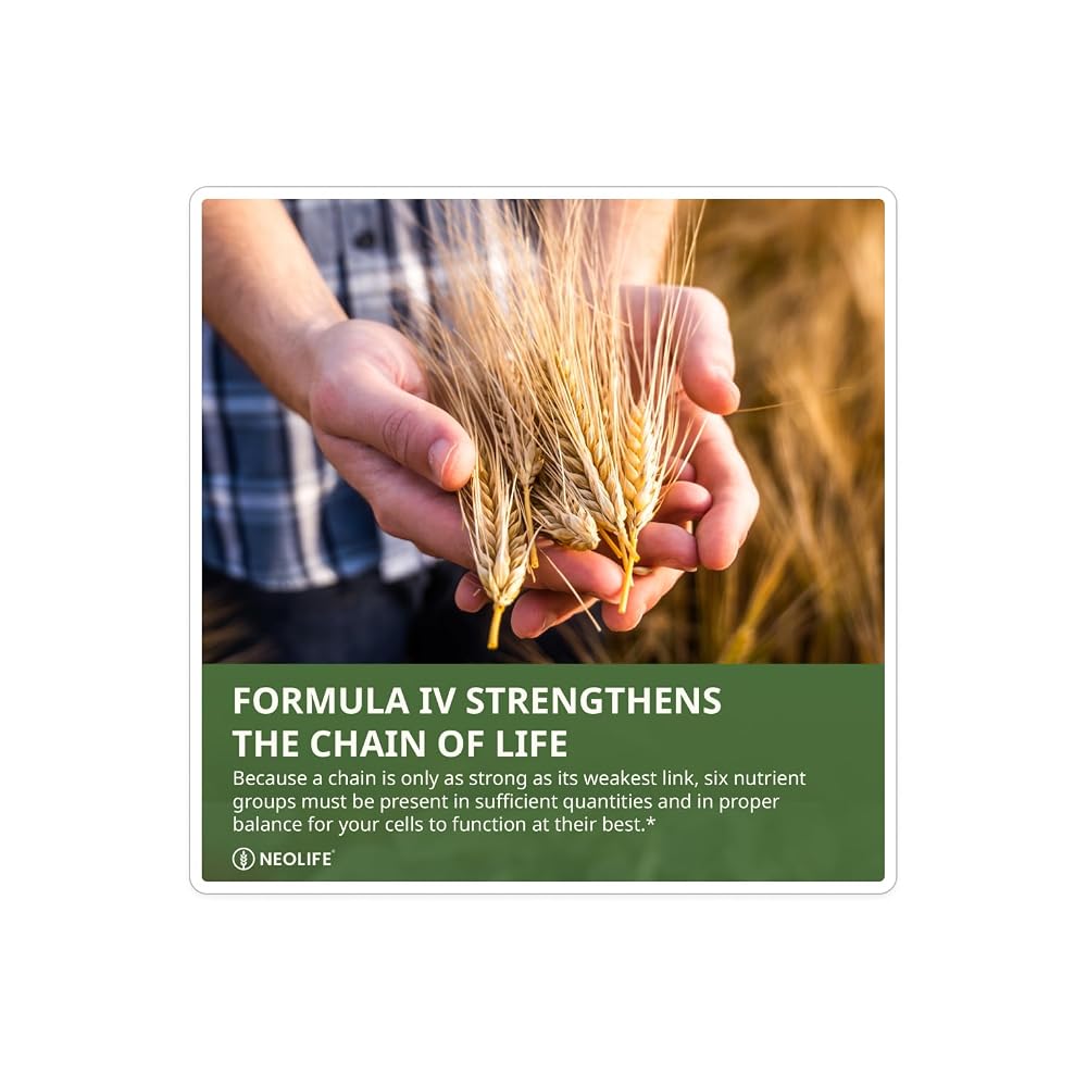 NeoLife Formula IV Multivitamin Softgels - 120 Softgels - image 4
