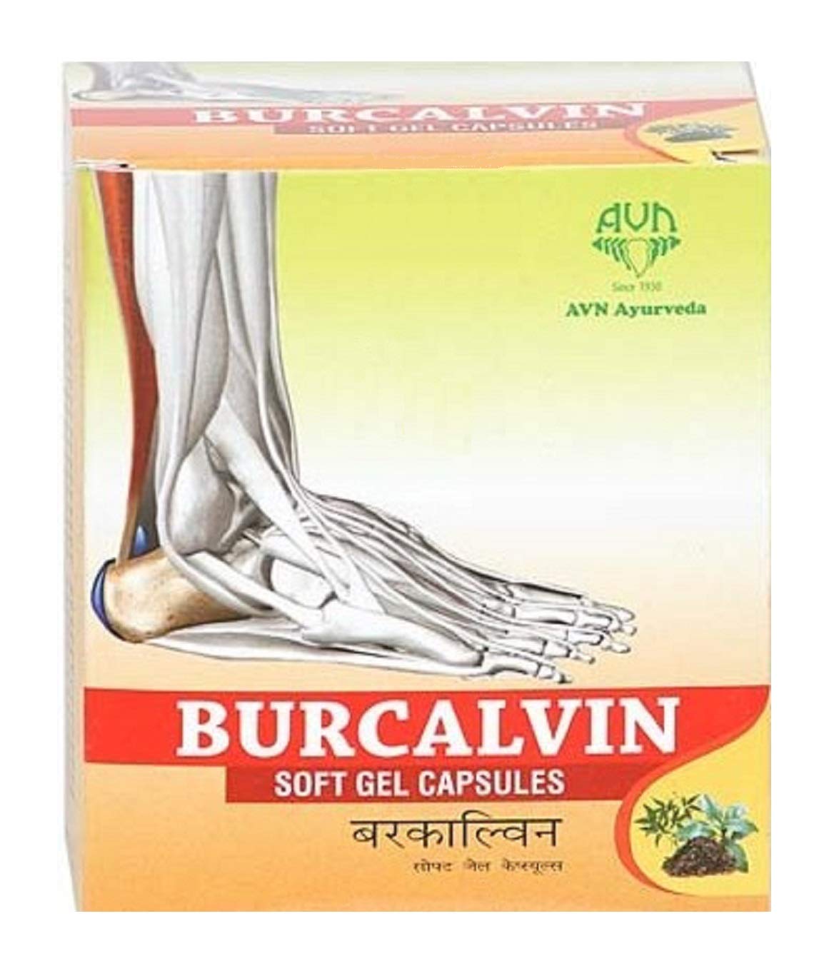 AVN Burcalvin Soft Gel Capsules - 60 Softgels - image 2
