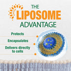 LABO Nutrition Vegan Liposomal Vitamin D3 Bone Support - 240 Softgels - image 5