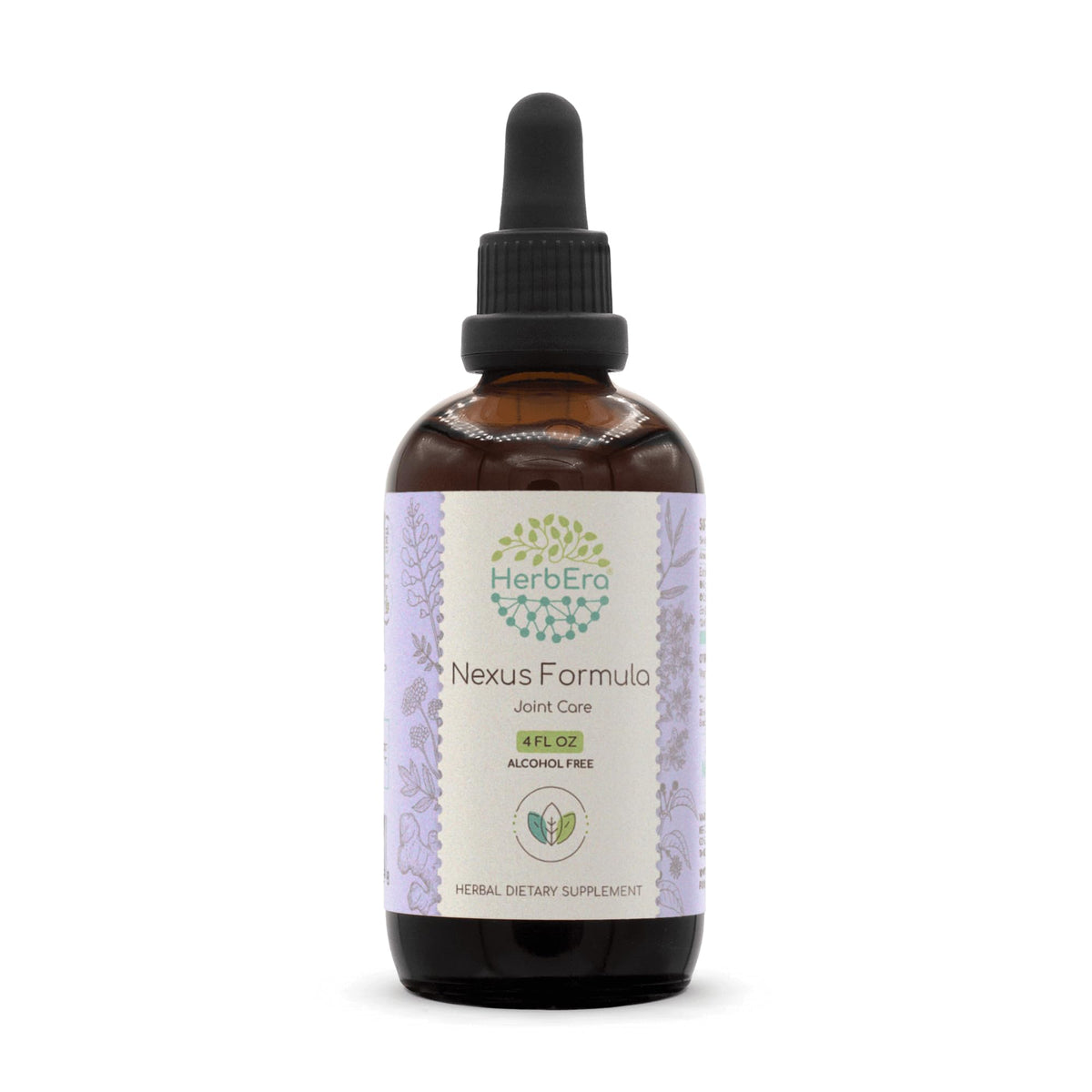 HerbEra Nexus Formula Alcohol-Free Extract Tincture: Ginger Root