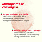 PLIX - THE PLANT FIX Apple Cider Vinegar Effervescent Tablets
