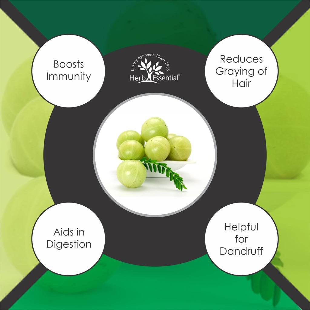 Herb Essential Organic Amla Powder - 3.53 oz - image 6
