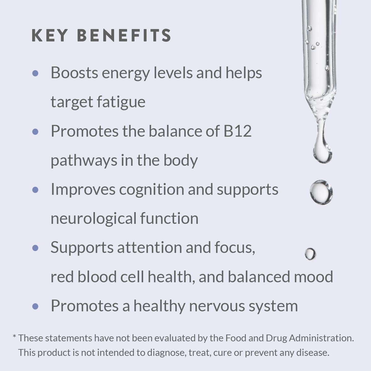 Holistic Health Methyl B12 MegaDrops Liquid - 28 mL - image 6