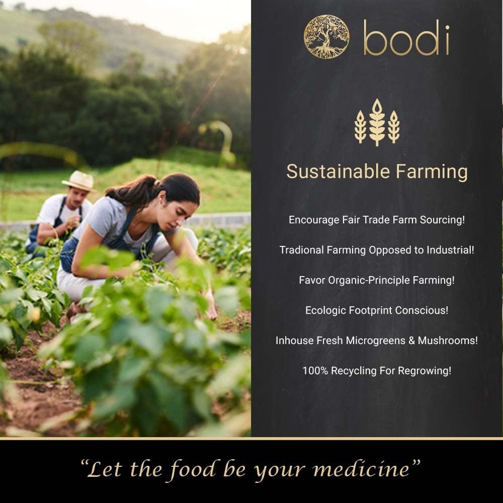 bodi : Artichoke Leaf Powder