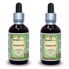 Herbal Terra LLC Marshmallow (Althaea Officinalis) Tincture