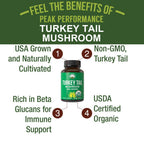 Peak Performance Organic Turkey Tail Mushroom Capsules - 60 Count - image 2