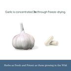 Eclectic Herb, Garlic Capsules, Heart Health, Immune Support