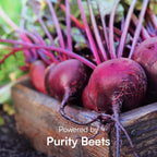Purity Products Perfect Purples Phytonutrient Healthy Aging Powder - 30 Count - image 5