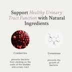 NeuEve Cranberry and D-Mannose Urinary Support - 90 Vegan Capsules - image 6