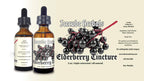 Icecube's Chaga Triple-Extracted Elderberry Extract - 2 oz. - image 2