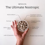 Qualia Mind