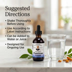 Christopher's Original Formulas Pancreas Formula Extract - 2 fl oz - image 6
