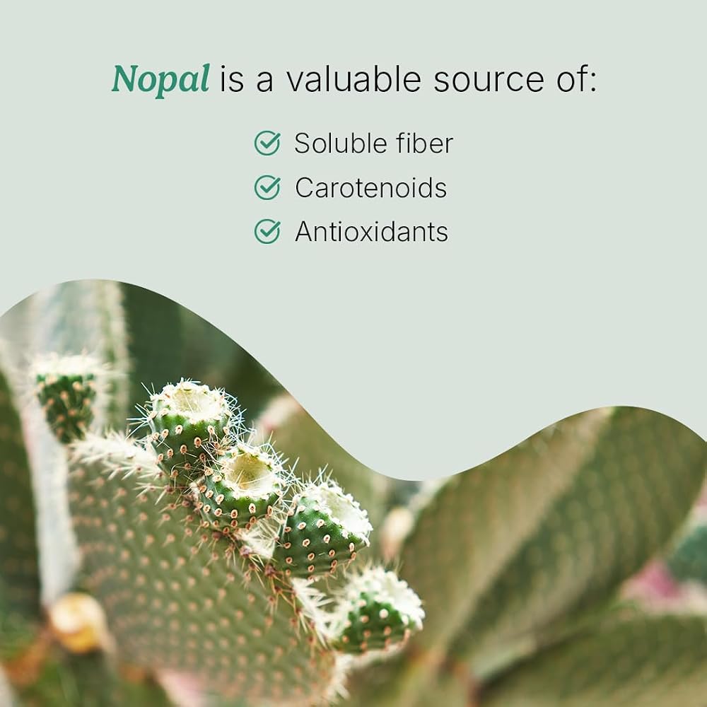 Santo Remedio Nopal Chia Daily Fiber Supplement - 120 Capsules - image 5