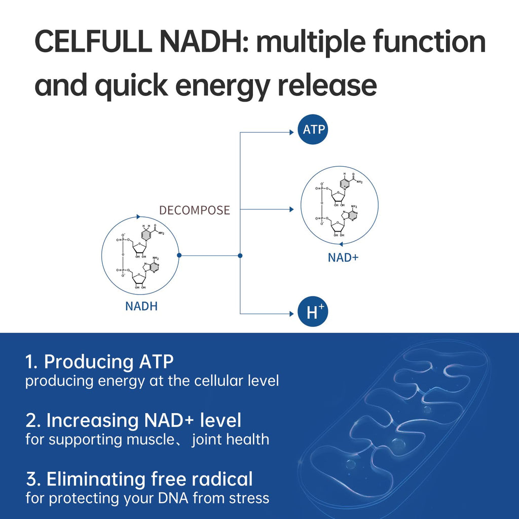 CELFULL NADH Supplement 20mg for Energy & Anti-Aging - 1 Tablets - image 2