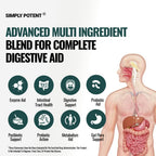 Simply Potent Digestive Enzymes with Prebiotics & Probiotics - 60 Capsules - image 5