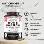 Ancient Origins Grass Fed Bone Marrow Supplement - 180 Capsules - image 3